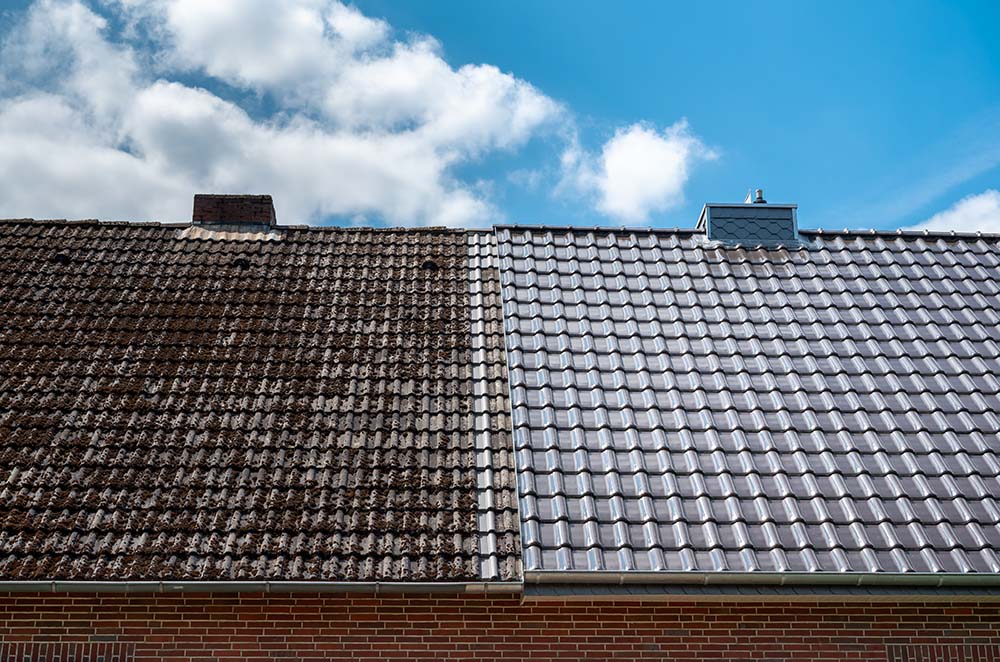 Roof Cleaning