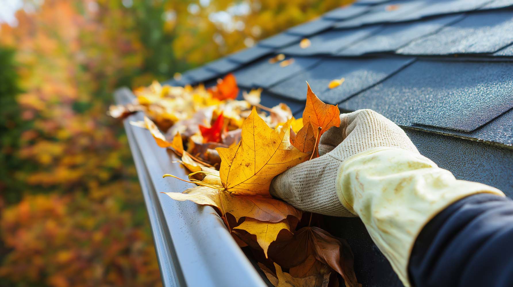 Gutter Cleaning